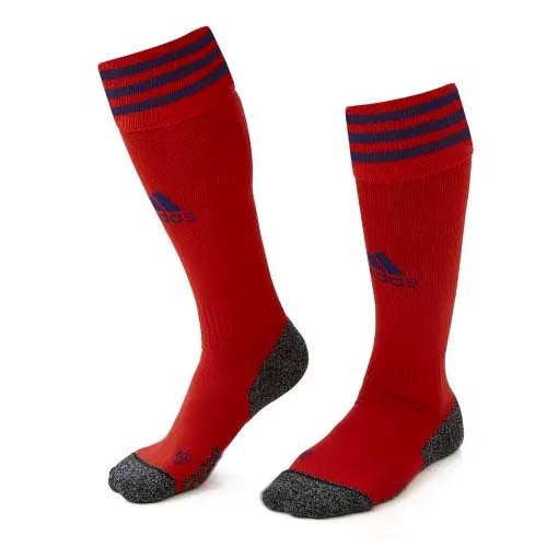 Calcetines Lyon 2nd 2021-2022 Rojo